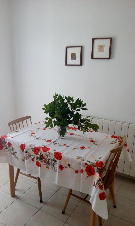 Apartment Elinor 2 Rovinj Exteriör bild